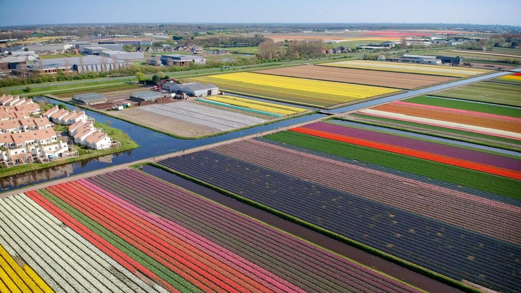 Taxi Noordwijkerhout